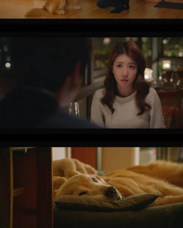 멍뭉이 My.Heart.Puppy.2023.1080p.WEB-DL.H264.AAC-MOMOWEB